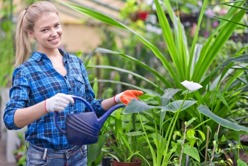 Gardener mowing a small Southfields front lawn