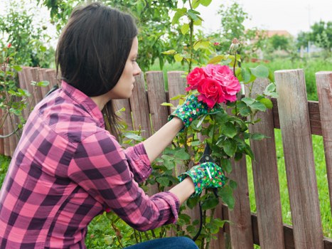 A woman with dark hair, wearing a pink and black checkered shirt and gardening gloves, is tending to a pink flowering shrub in a backyard garden with a wooden fence. The garden features well-maintained grass, a variety of green plants, and a mix of shrubs and small trees in the background. The wooden fence has vertical slats and encloses the outdoor space, which appears to be a residential garden in Southfields, London. The scene is set in daylight with a slightly overcast sky, highlighting the natural tones of the greenery and the vibrant pink flowers. This setting reflects typical gardening and outdoor maintenance activities, aligning with services offered by Lawn Mowing Southfields for lawn and garden care in the local area.